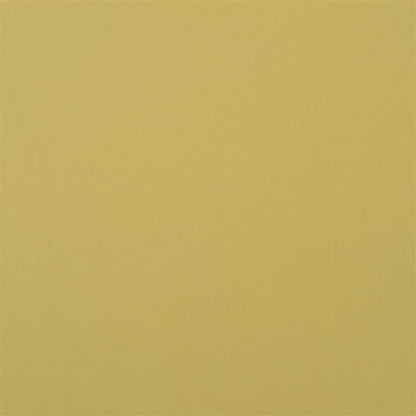 Perledo Fabric by Designers Guild in Acacia