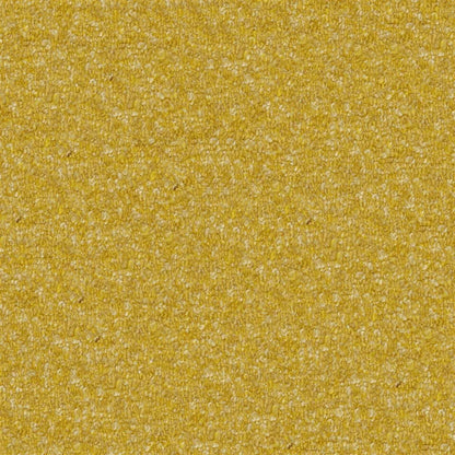 Cadenza Fabric by Designers Guild in Amber