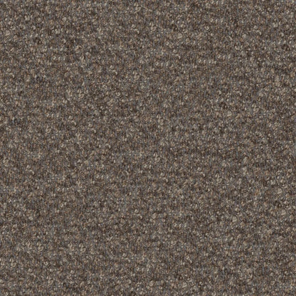 Cadenza Fabric by Designers Guild in Cappuccino