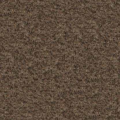 Cadenza Fabric by Designers Guild in Moleskin