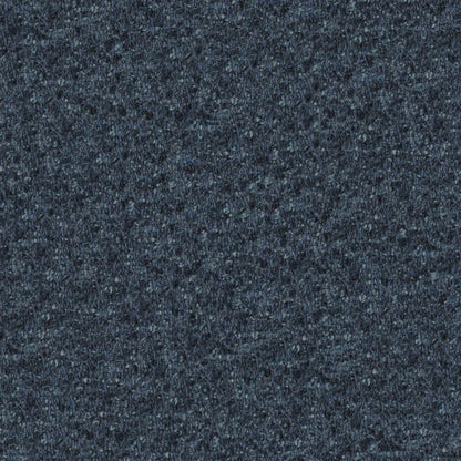 Cadenza Fabric by Designers Guild in Midnight