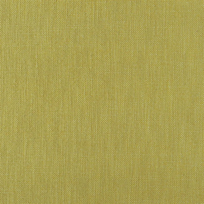Tortona Fabric by Designers Guild in Alchemilla