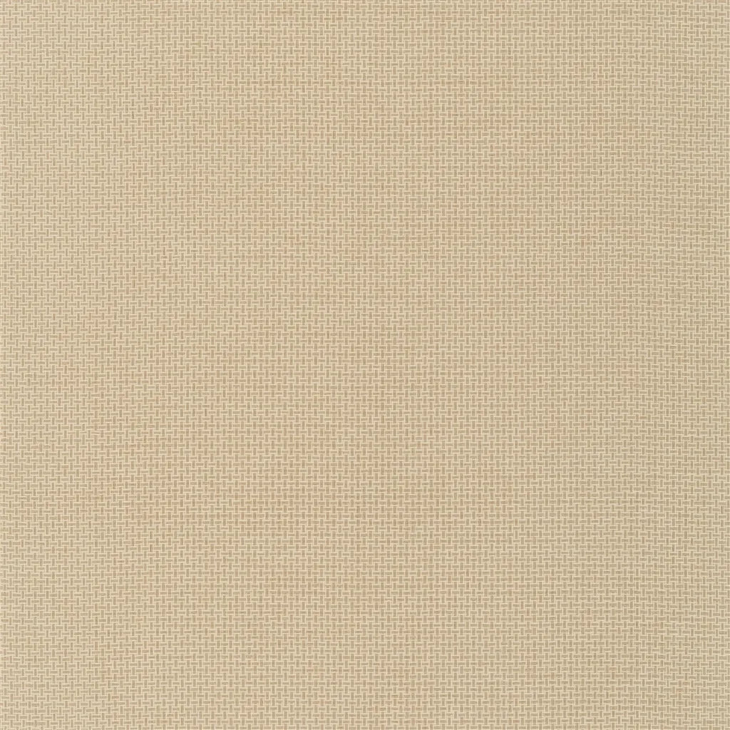 Baileyana Wallpaper by Ralph Lauren in Straw