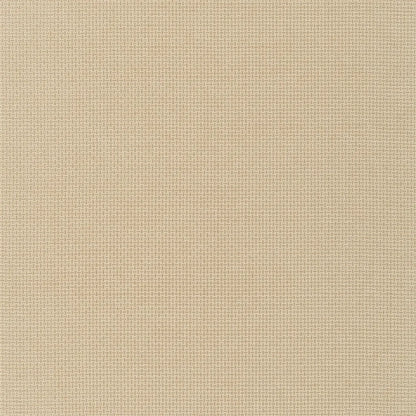 Baileyana Wallpaper by Ralph Lauren in Straw