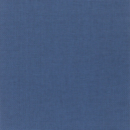 Baileyana Wallpaper by Ralph Lauren in Indigo