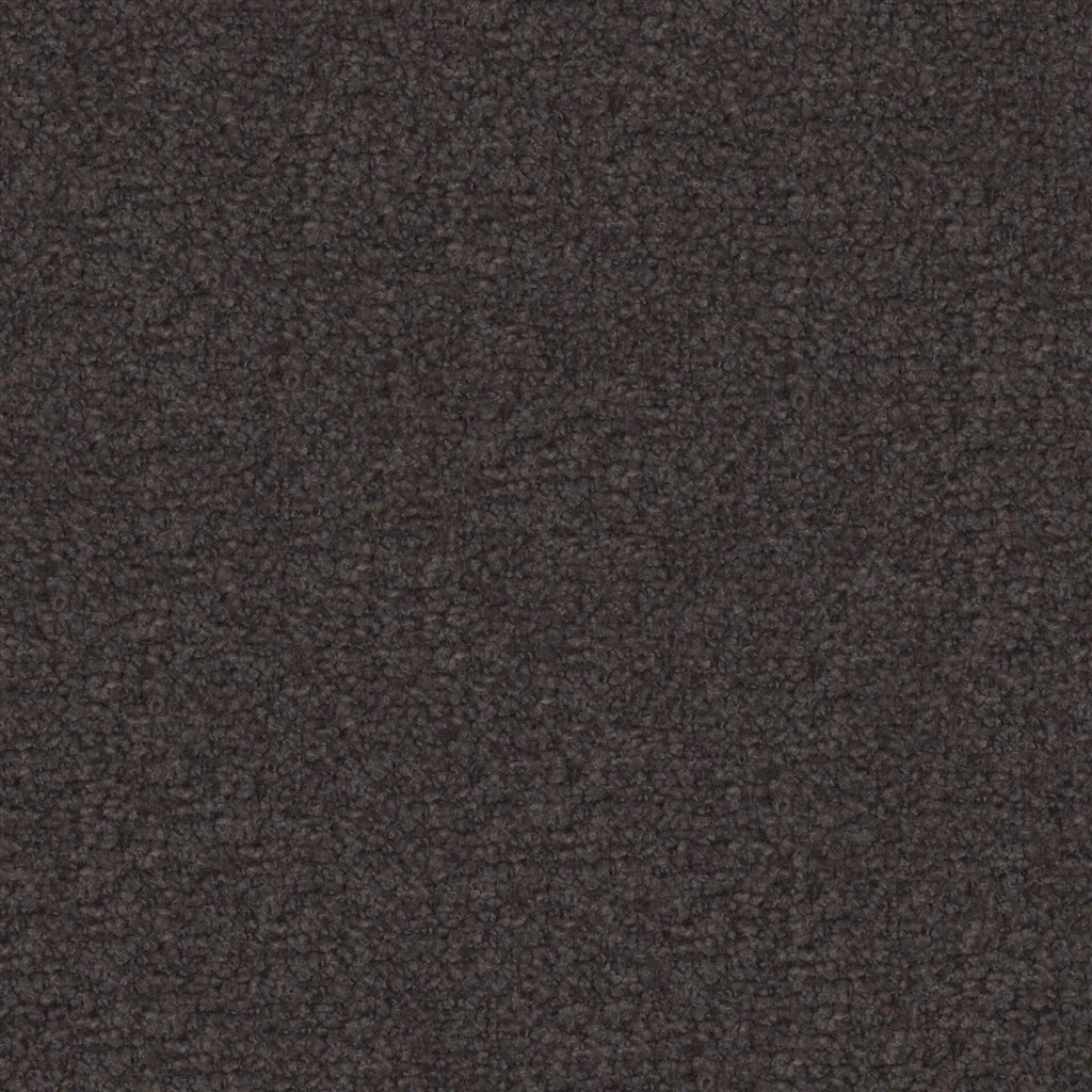 Aria Fabric by Designers Guild in Charcoal