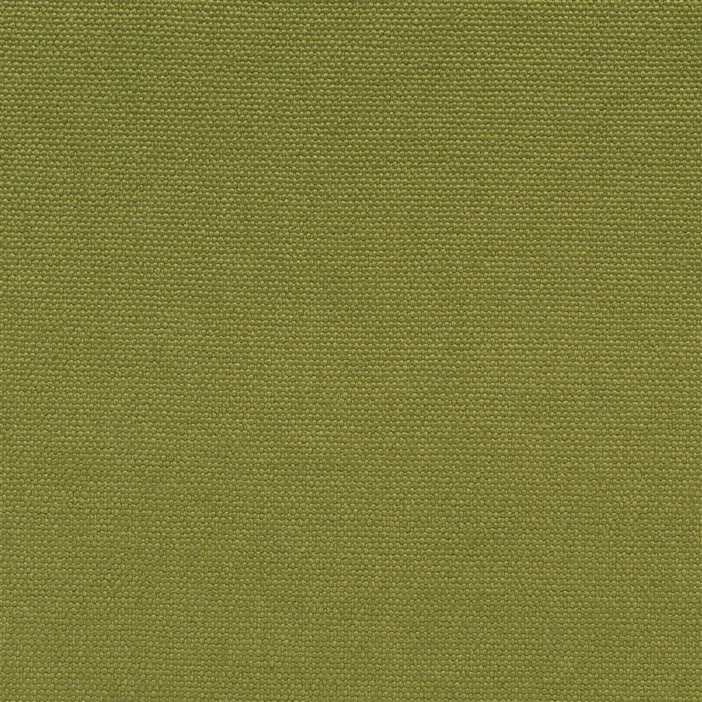 Loiret Fabric by Designers Guild in Grass