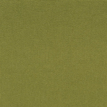 Loiret Fabric by Designers Guild in Grass