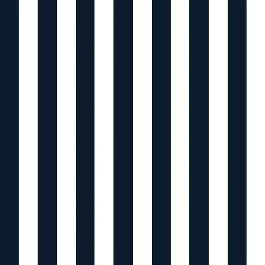 Captains Cove Stripe Fabric by Ralph Lauren in Blue