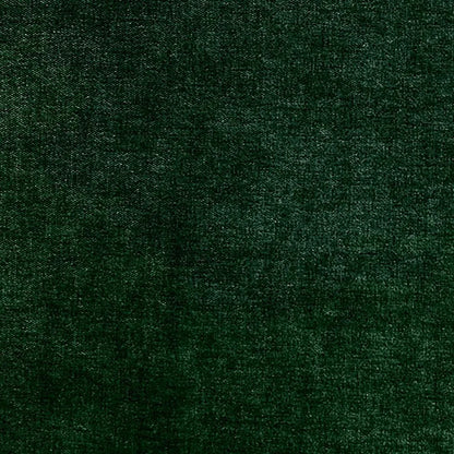 Arolla Fabric by Designers Guild in Fern