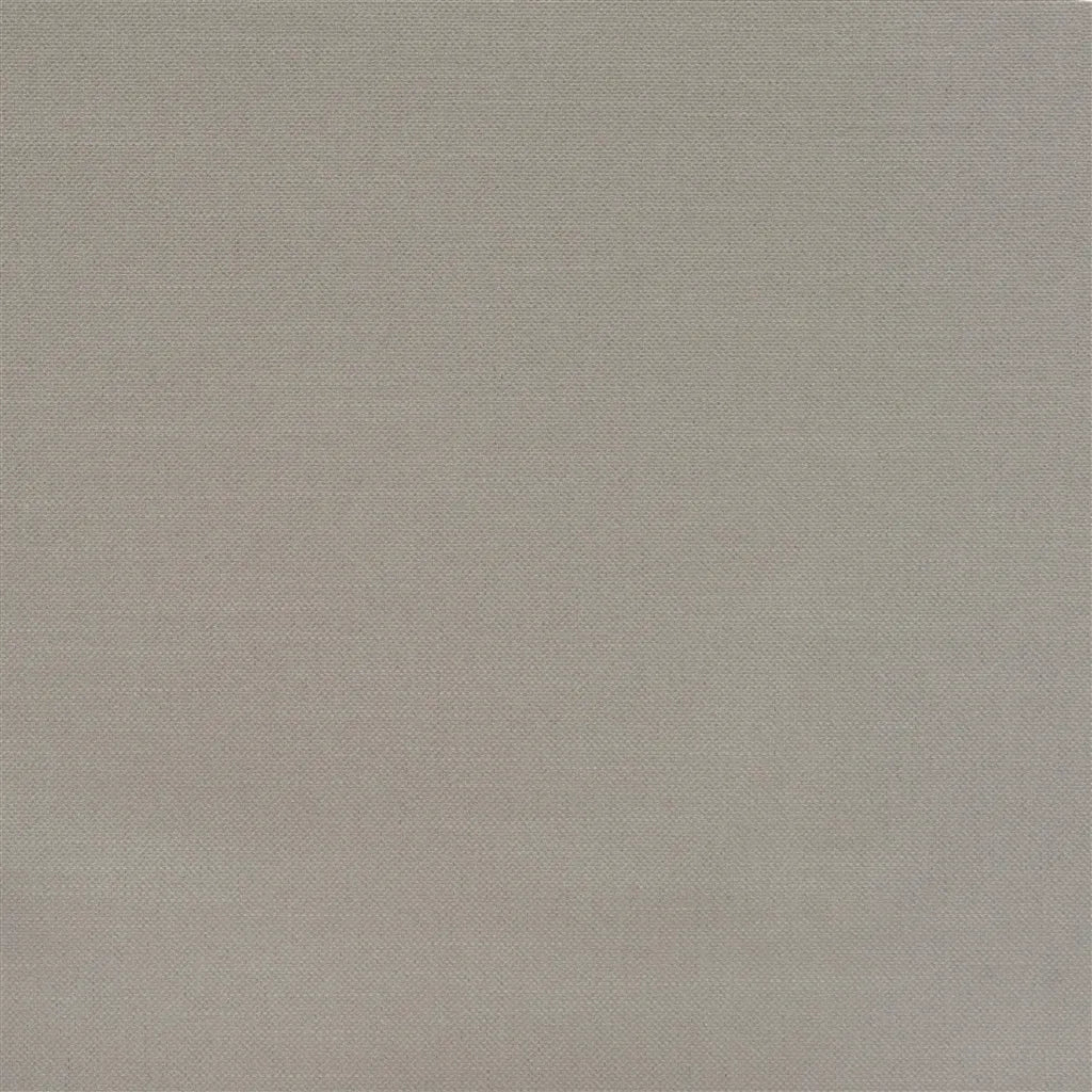 Brenay Fabric by Designers Guild in Smoke