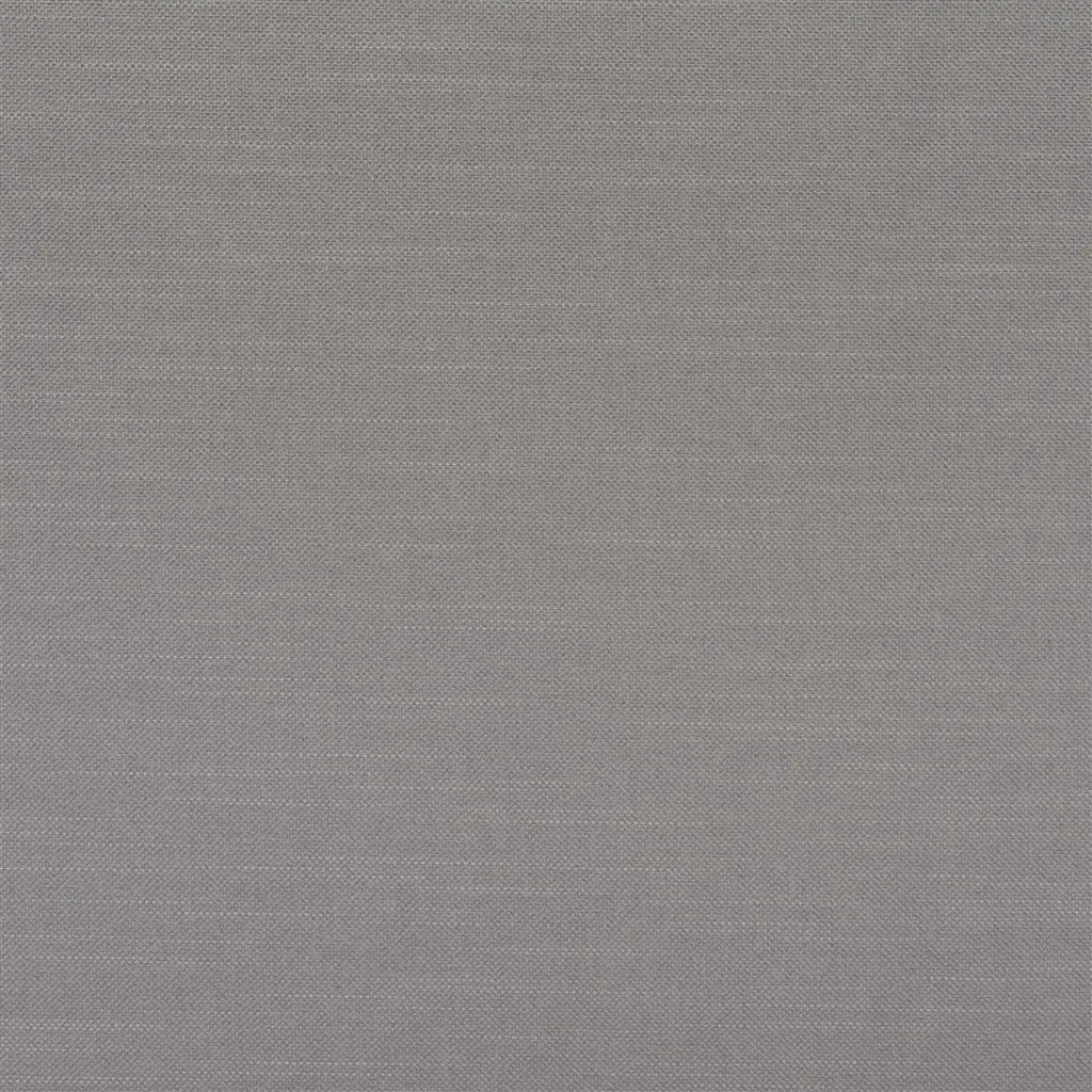 Brenay Fabric by Designers Guild in Zinc