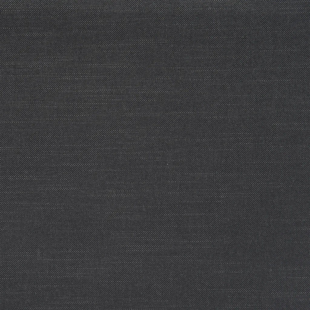 Brenay Fabric by Designers Guild in Charcoal