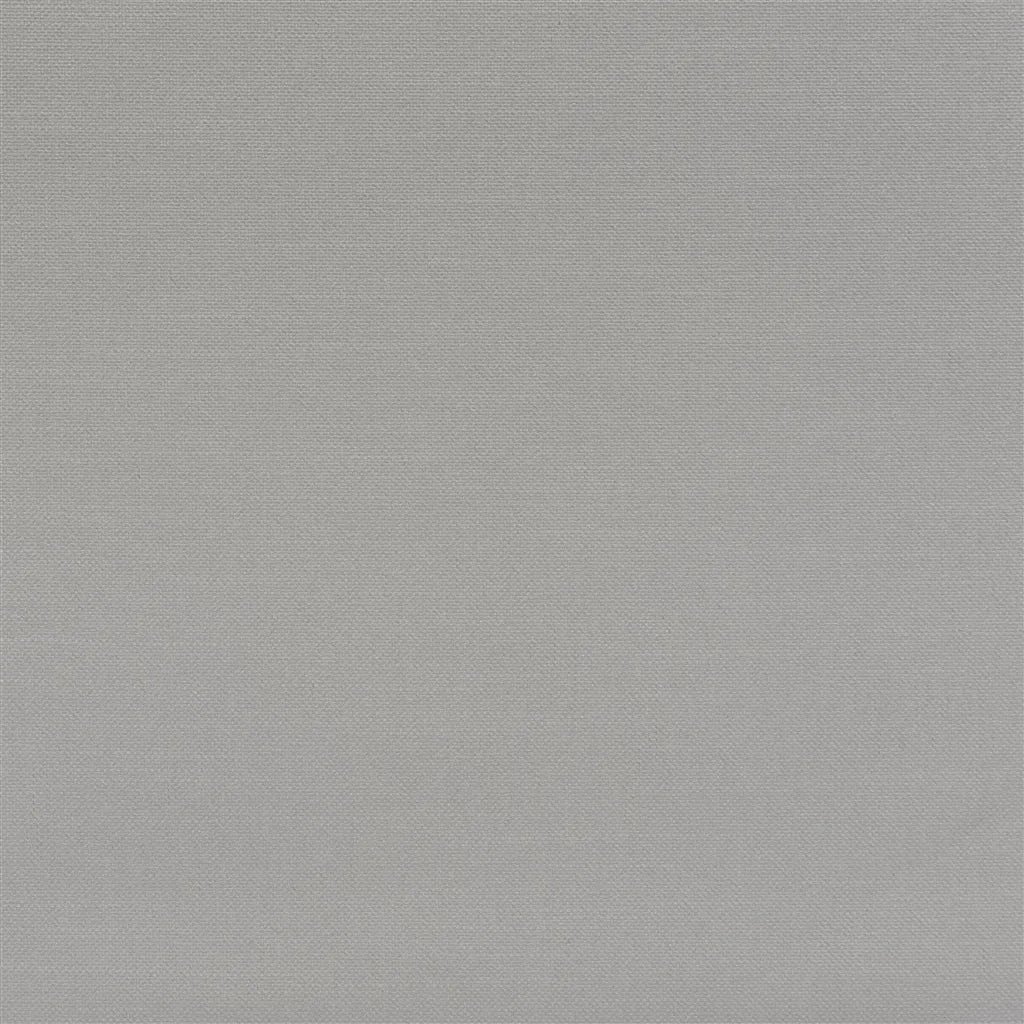 Brenay Fabric by Designers Guild in Silver
