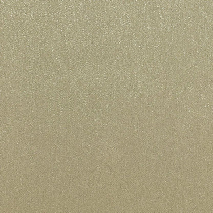 Silvretta Fabric by Designers Guild in Linen