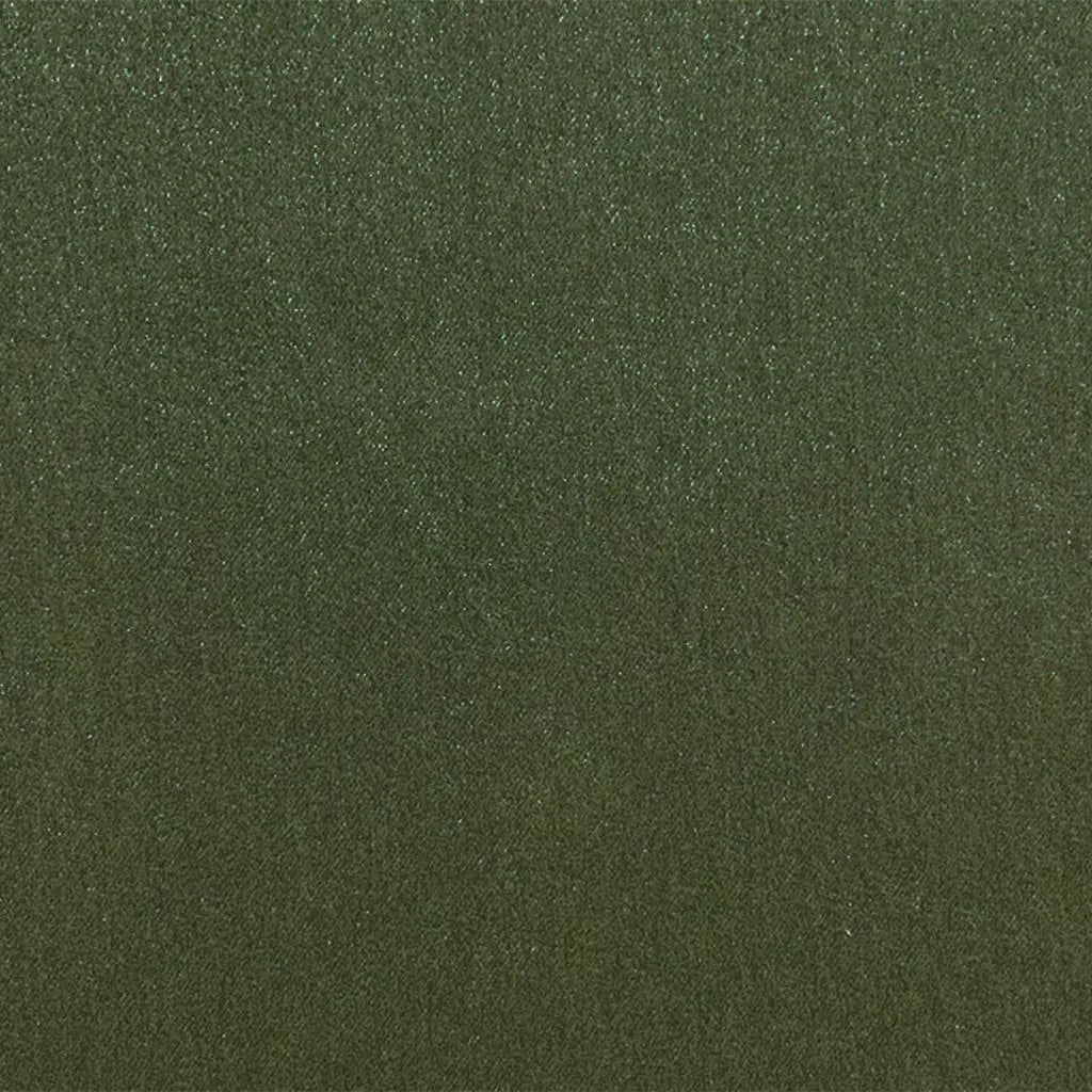 Silvretta Fabric by Designers Guild in Fern