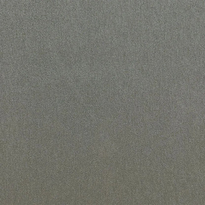 Silvretta Fabric by Designers Guild in Platinum