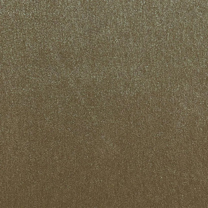 Silvretta Fabric by Designers Guild in Mink