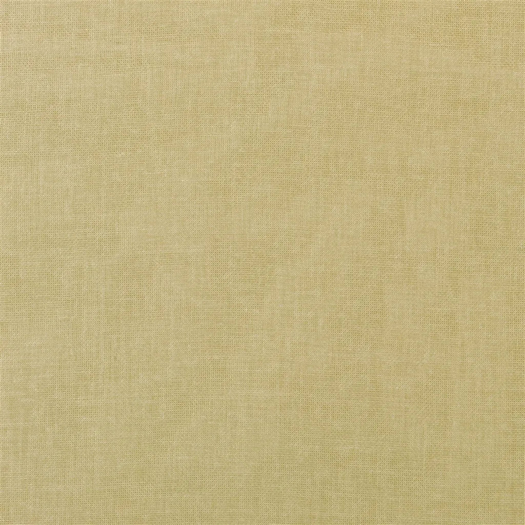 Burgao Sheer Fabric by Ralph Lauren in Champagne