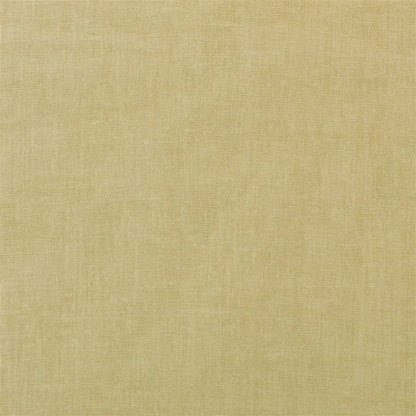 Burgao Sheer Fabric by Ralph Lauren in Champagne