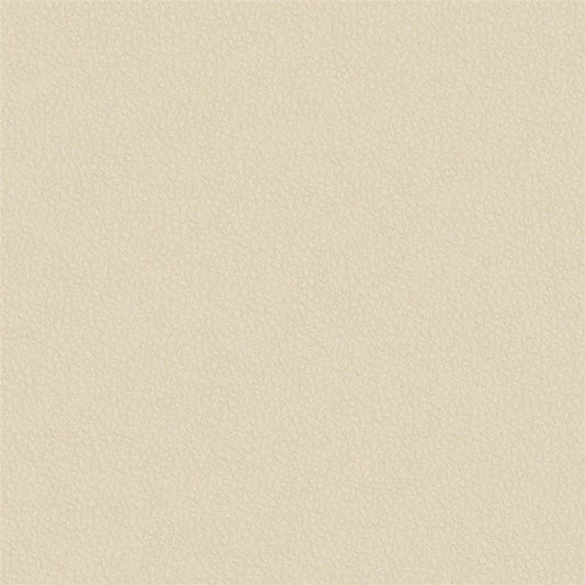 Matara Eco Fabric by Designers Guild in Taupe
