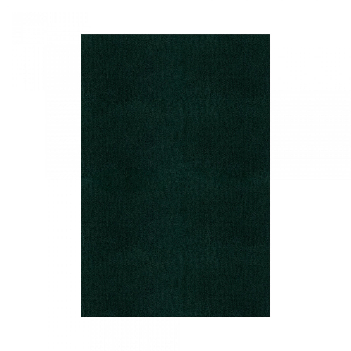 Plain Area Rug by Graccioza in Hunter Green, Rectangular