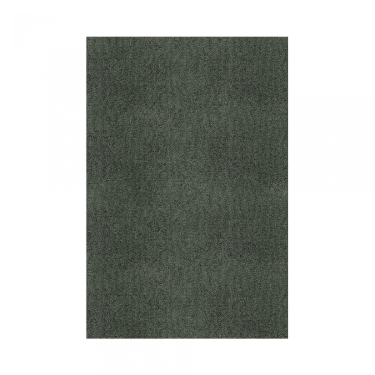 Plain Area Rug by Graccioza in Sage Green, Rectangular