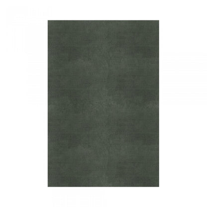 Plain Area Rug by Graccioza in Sage Green, Rectangular