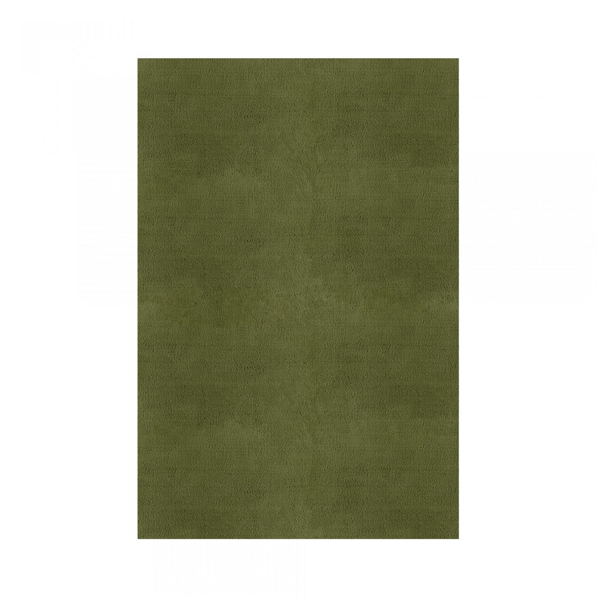 Plain Area Rug by Graccioza in Fresh Olive, Rectangular