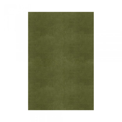 Plain Area Rug by Graccioza in Fresh Olive, Rectangular