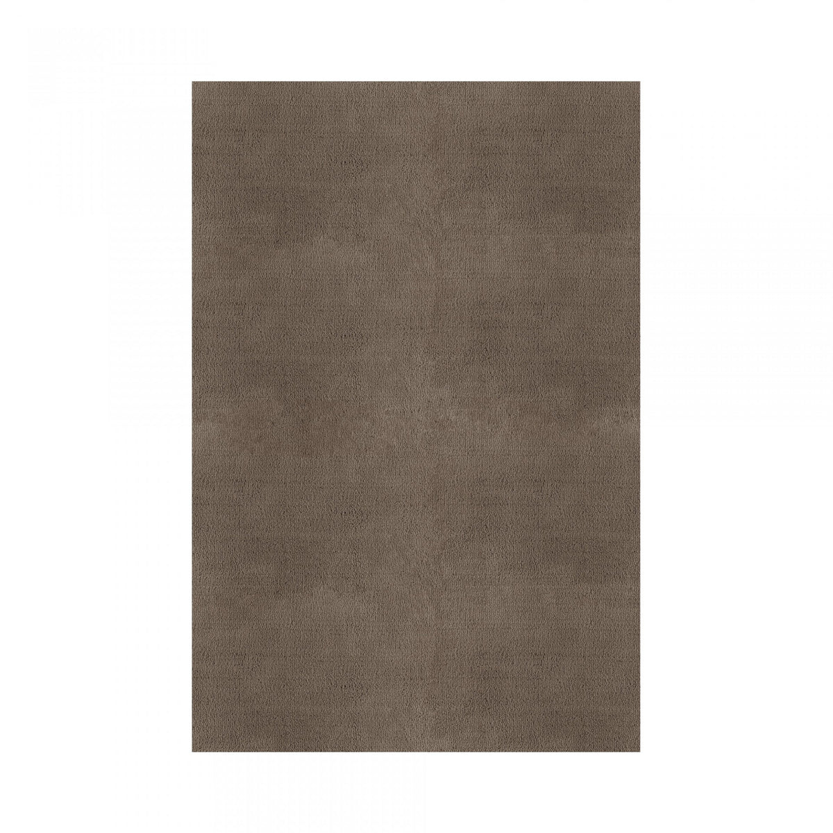 Plain Area Rug by Graccioza in Taupe, Rectangular