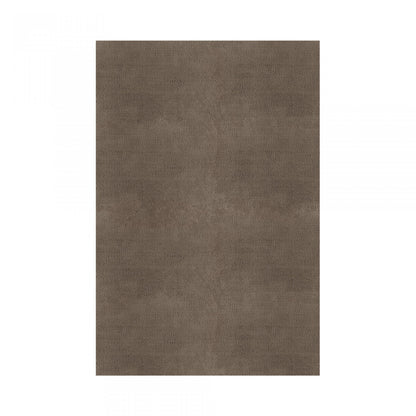 Plain Area Rug by Graccioza in Taupe, Rectangular