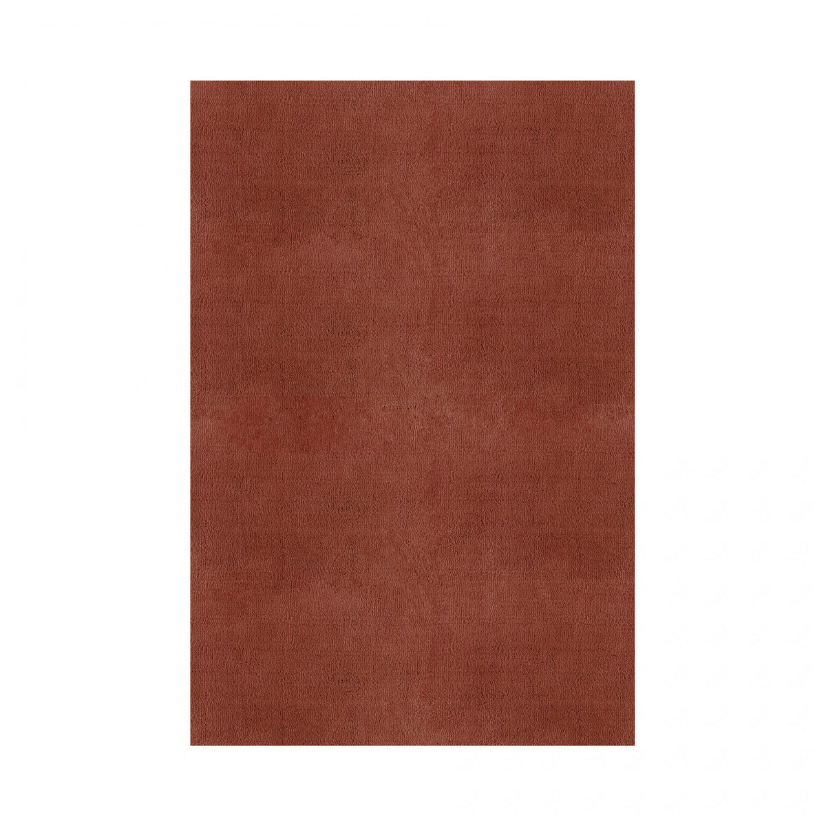 Plain Area Rug by Graccioza in Clay, Rectangular