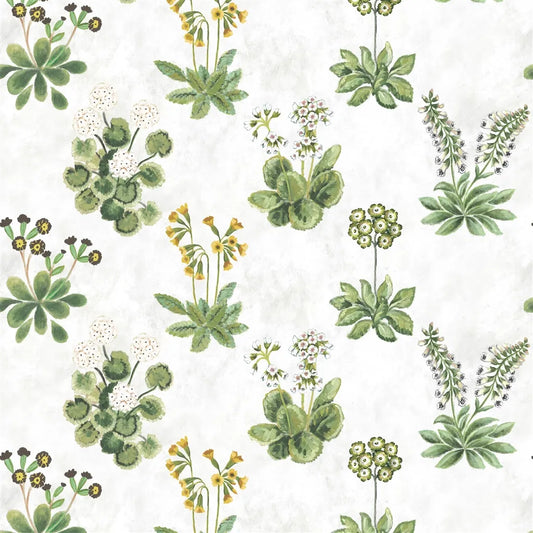 Primevere Fabric by Designers Guild in Sage