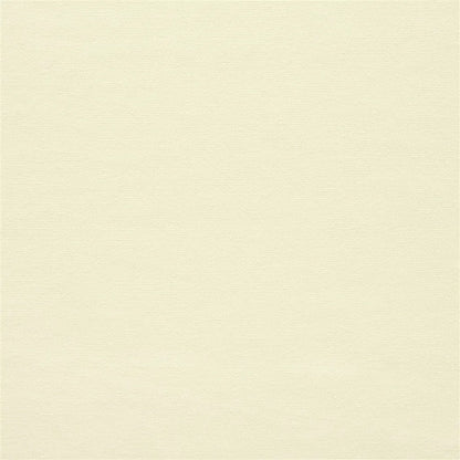 Canvas Fabric by Ralph Lauren in Cream