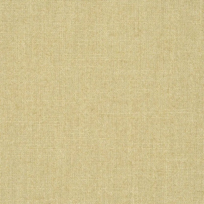 Highland Linen Fabric by William Yeoward in String