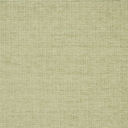Auskerry Fabric by Designers Guild in Hessian