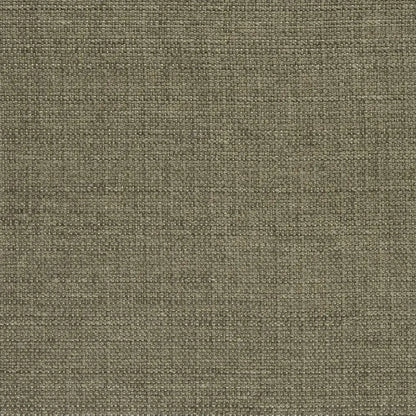 Auskerry Fabric by Designers Guild in Putty