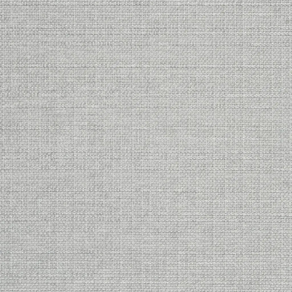 Auskerry Fabric by Designers Guild in Zinc