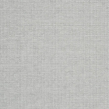 Auskerry Fabric by Designers Guild in Zinc