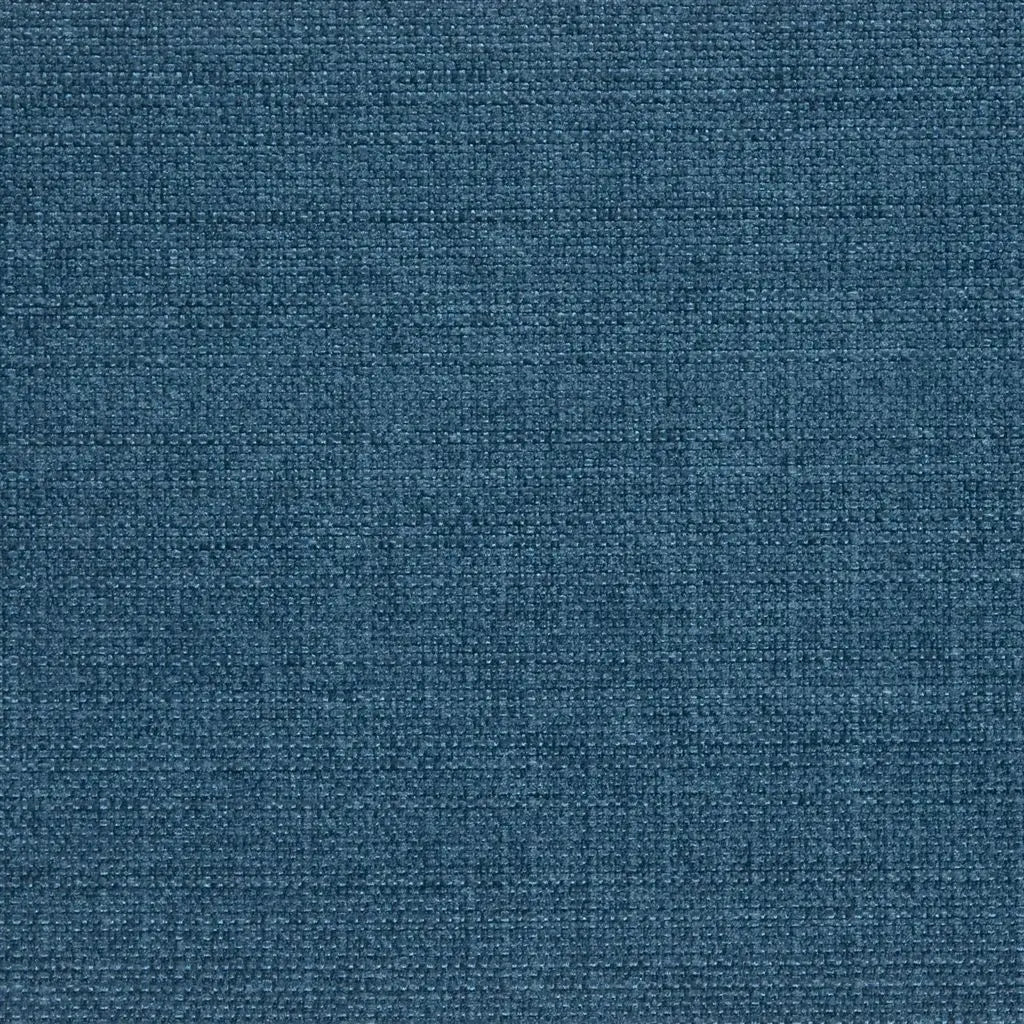 Auskerry Fabric by Designers Guild in Ink