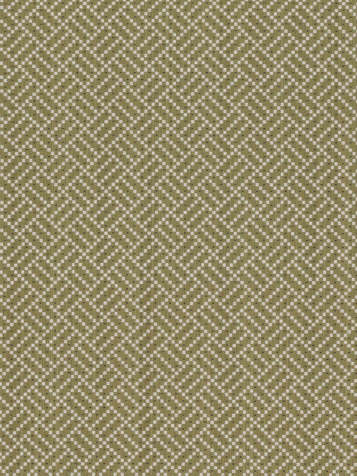 Rambler Fabric by Holland & Sherry in Acid