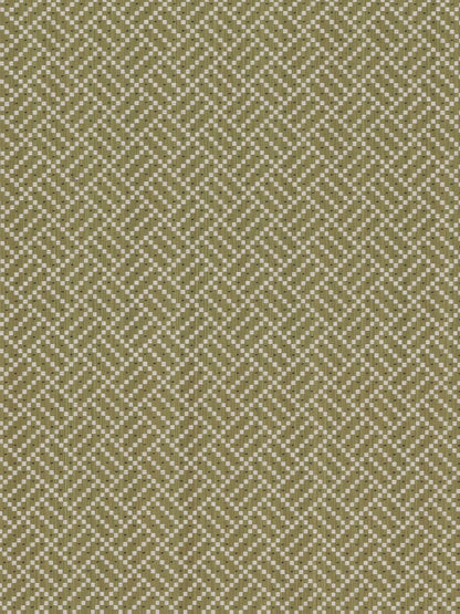 Rambler Fabric by Holland & Sherry in Acid
