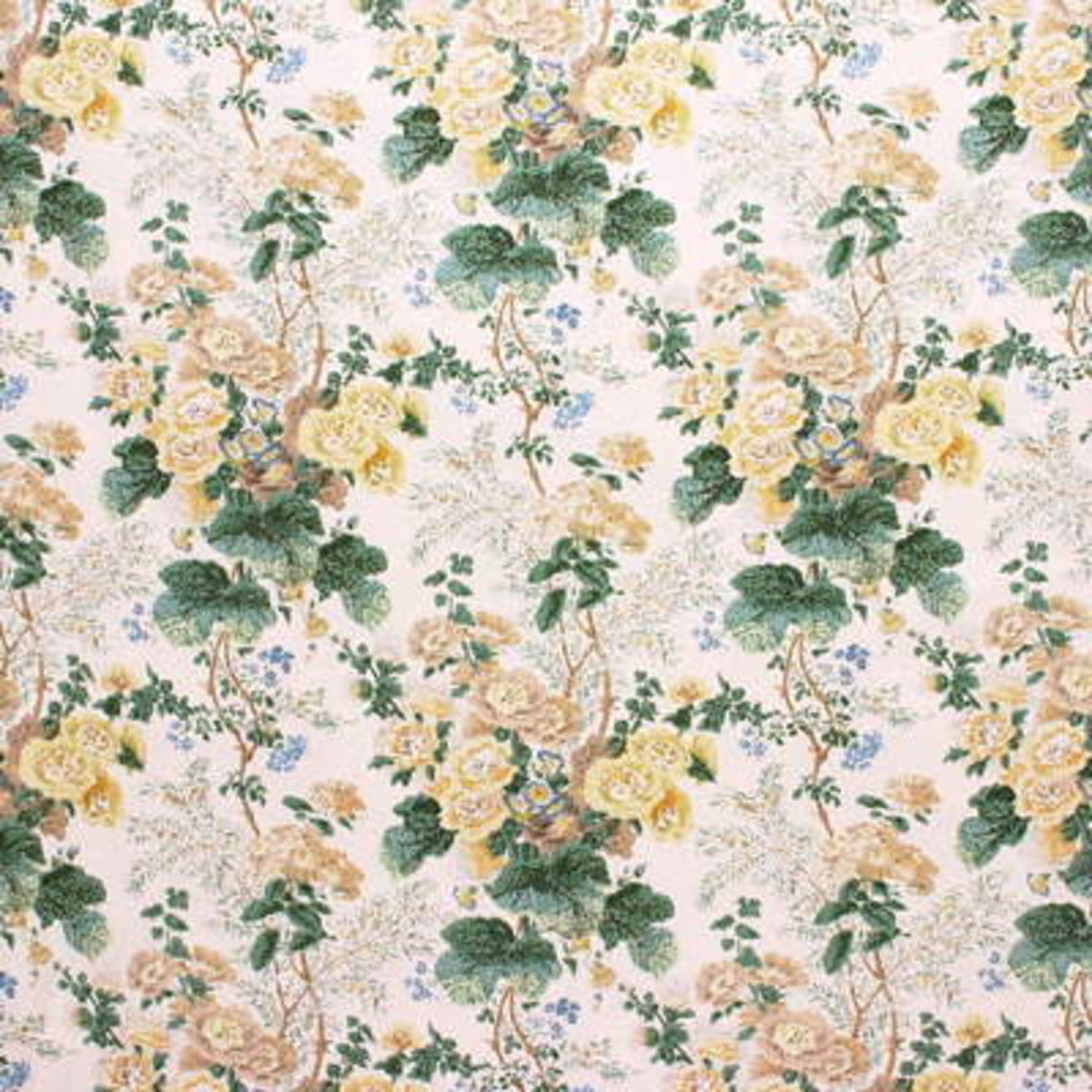 Althea Cotton P - Citron