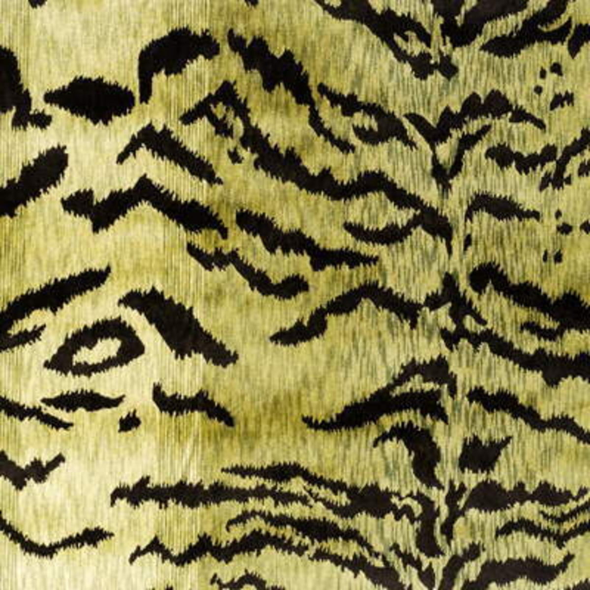 Tiger Velvet - Moss