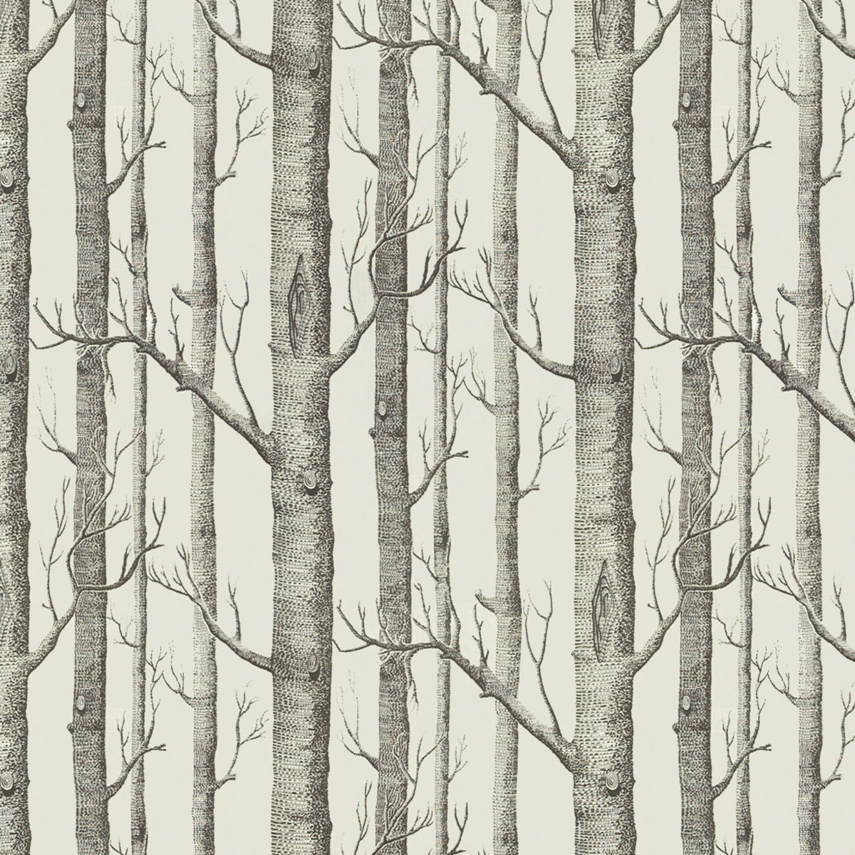 Woods Print - Graphite