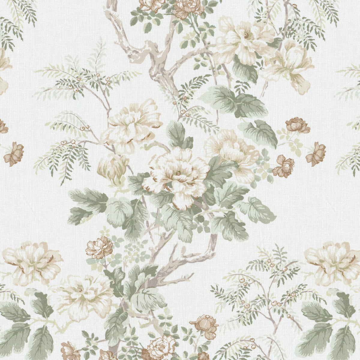 Chinese Peony - Beige