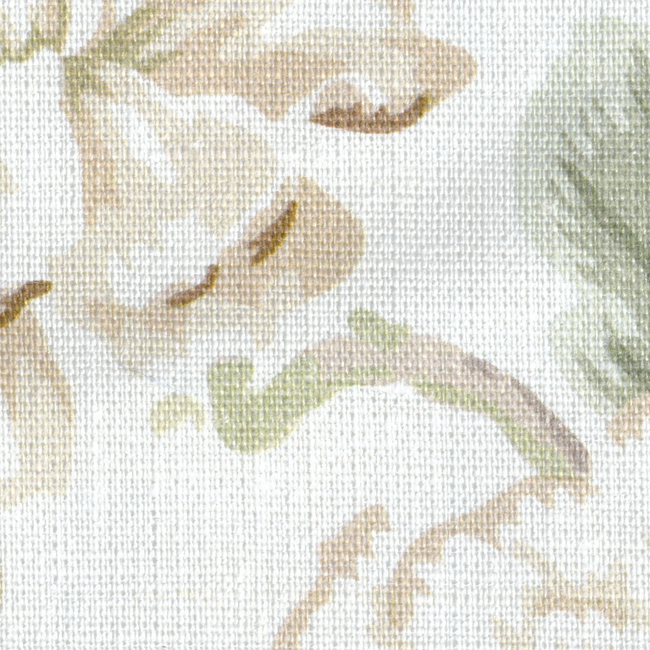 Chinese Peony - Beige