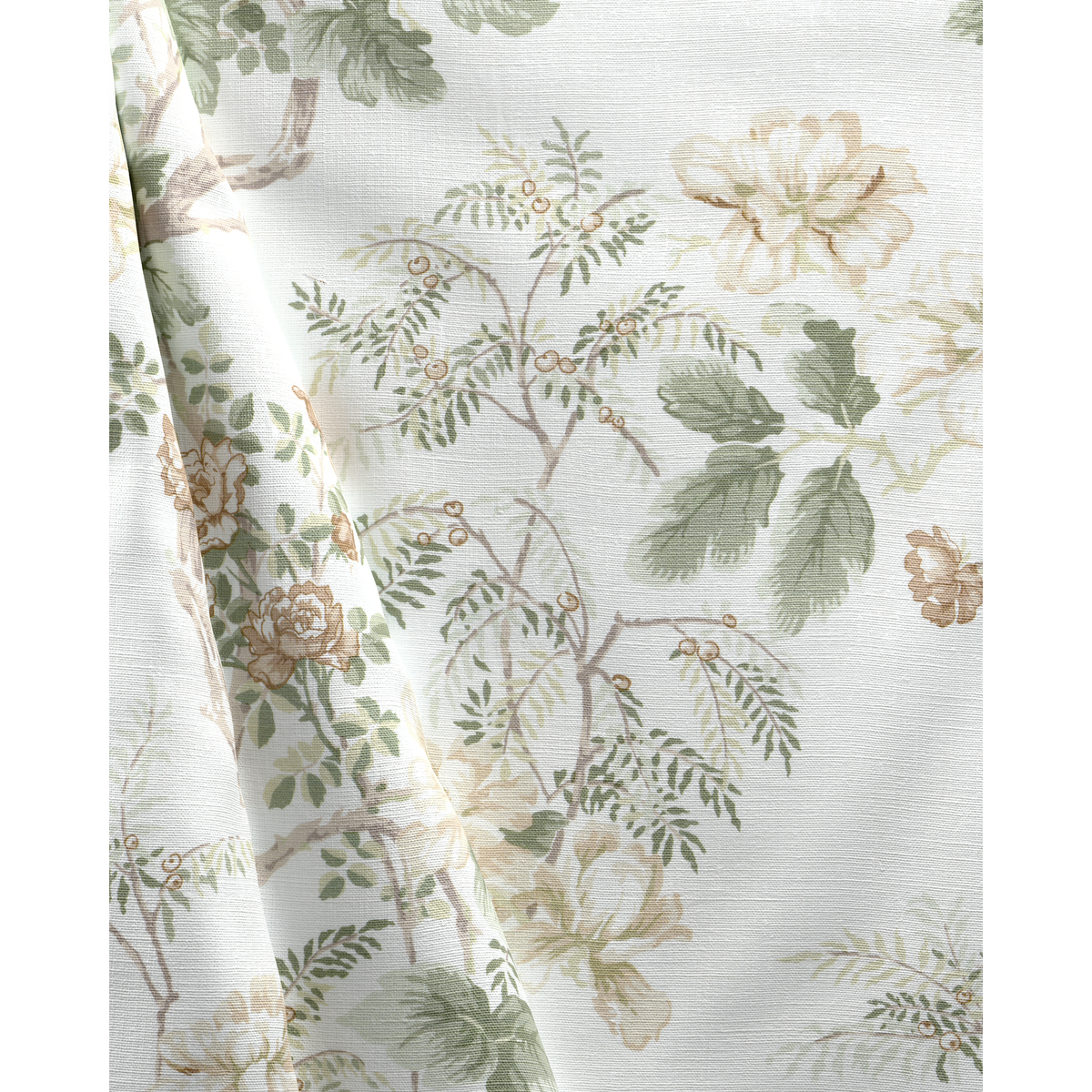Chinese Peony - Beige