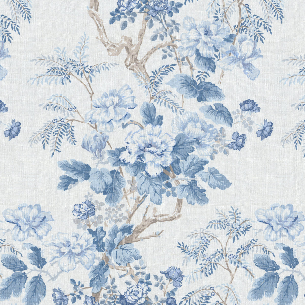 Chinese Peony - Horizon